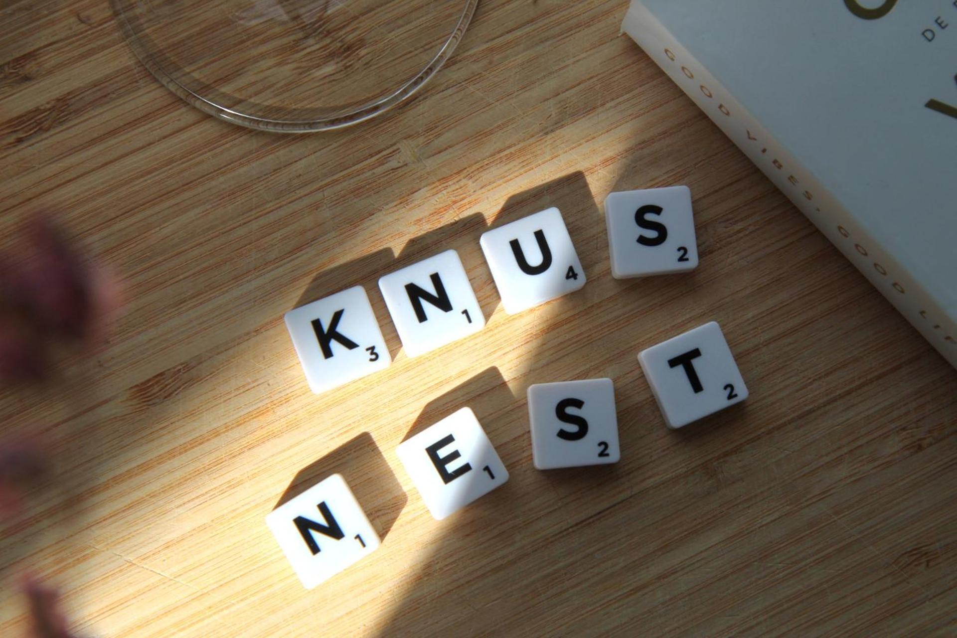 Buitenverblijf Nest Arnhem Esterno foto